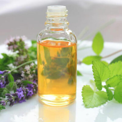 A guide to using essential oils for pets