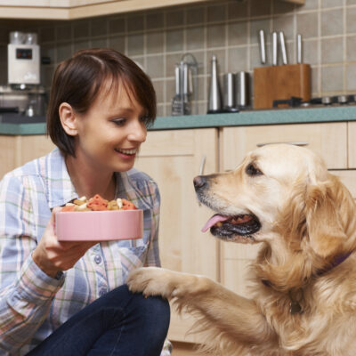 Foods That Are Dangerous for Dogs