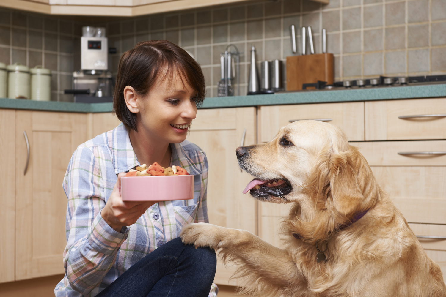 Foods That Are Dangerous for Dogs