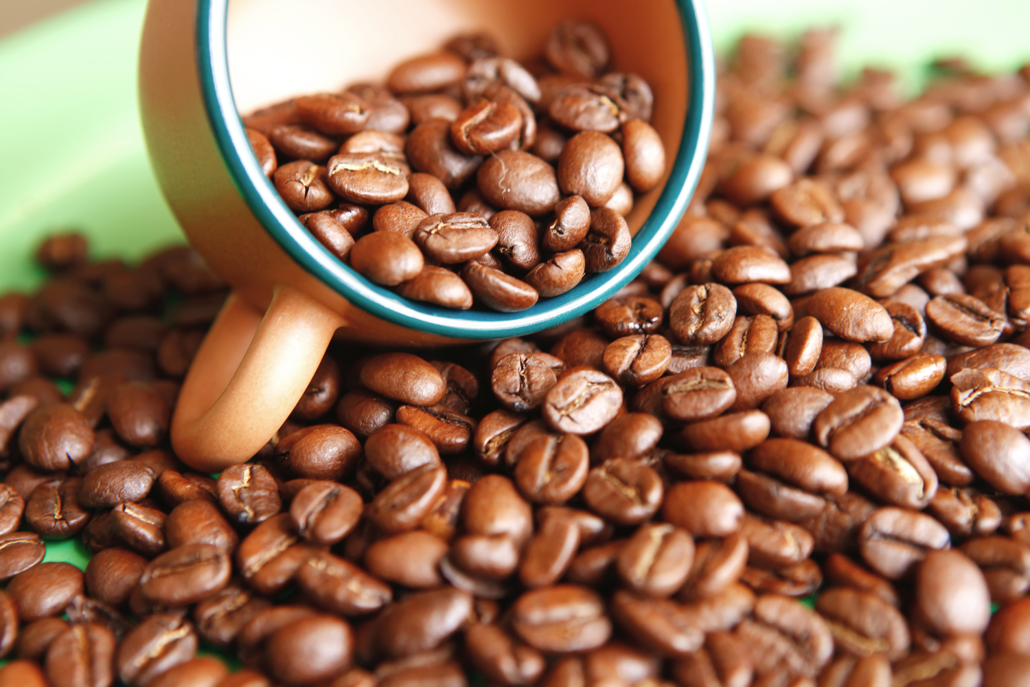 A Coffee Lover&#8217;s Guide To The Finest Coffee Beans