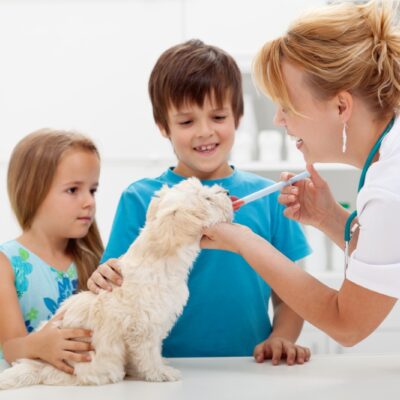 Unlocking the Secrets to Affordable Pet Insurance